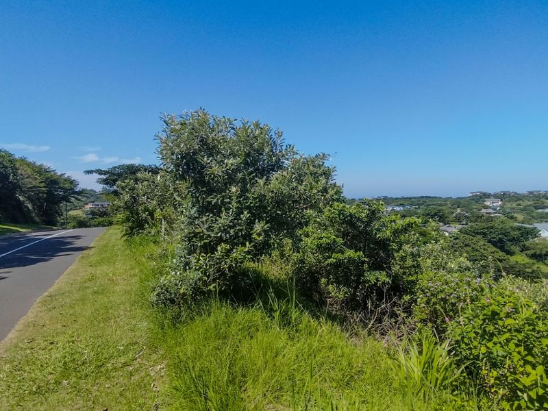 Vacant Land Residential For Sale in Simbithi Eco Estate - Photo 4