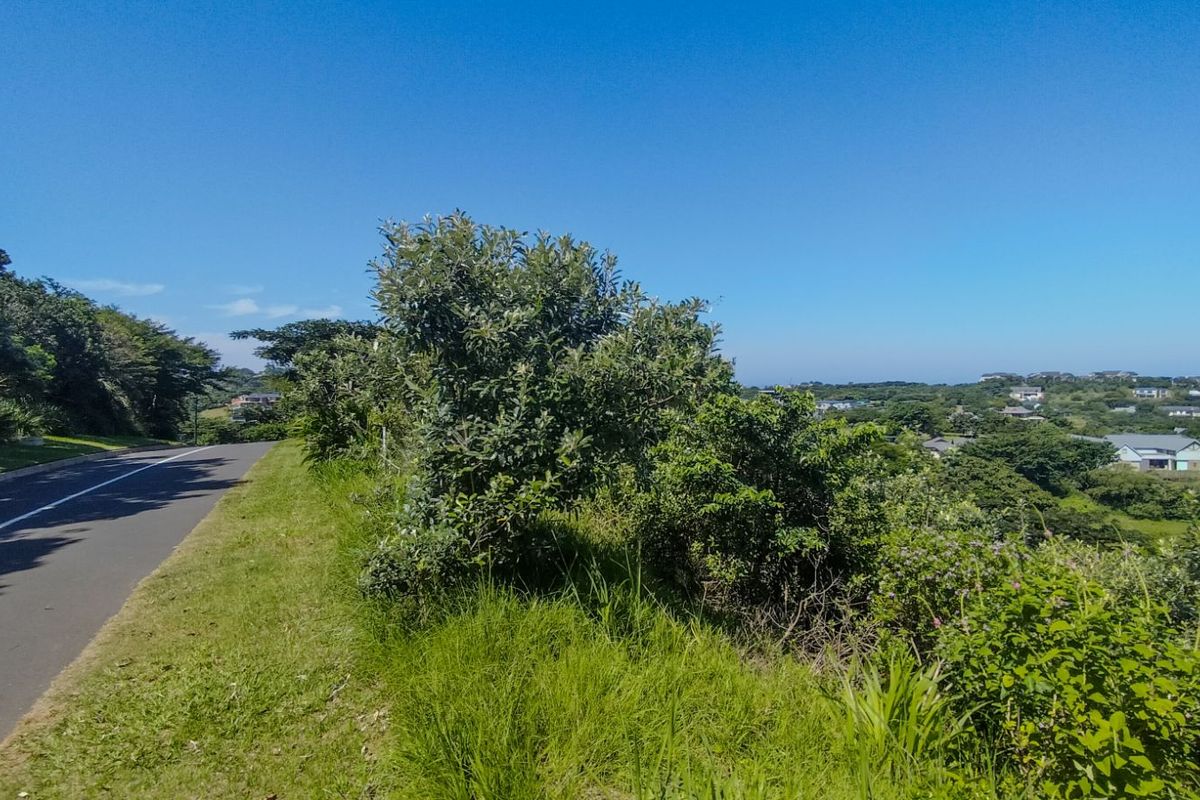 Vacant Land Residential For Sale in Simbithi Eco Estate - Photo 4