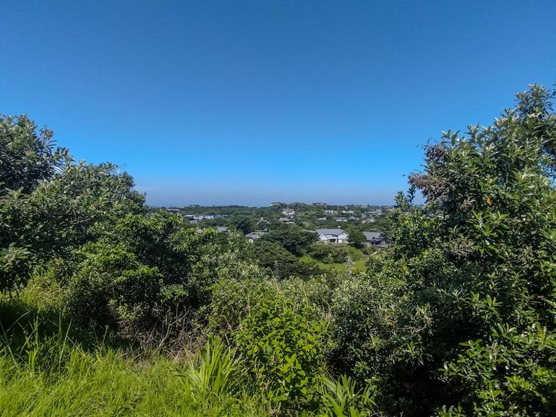 Vacant Land Residential For Sale in Simbithi Eco Estate - Photo 3