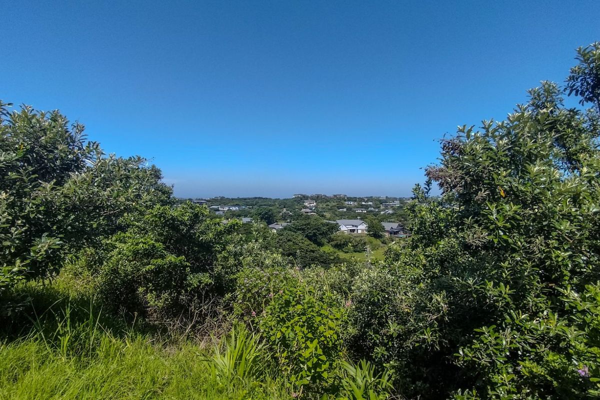 Vacant Land Residential For Sale in Simbithi Eco Estate - Photo 3