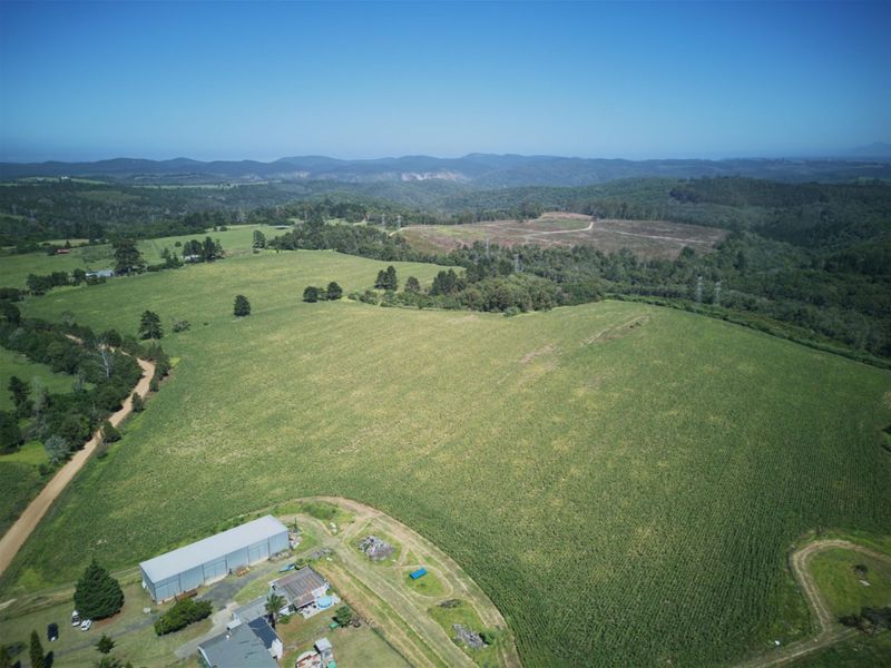 Farm For Sale in Knysna Rural - Photo 6