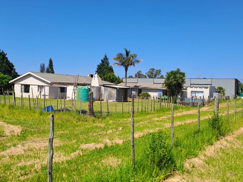 Farm For Sale in Knysna Rural - Photo 7