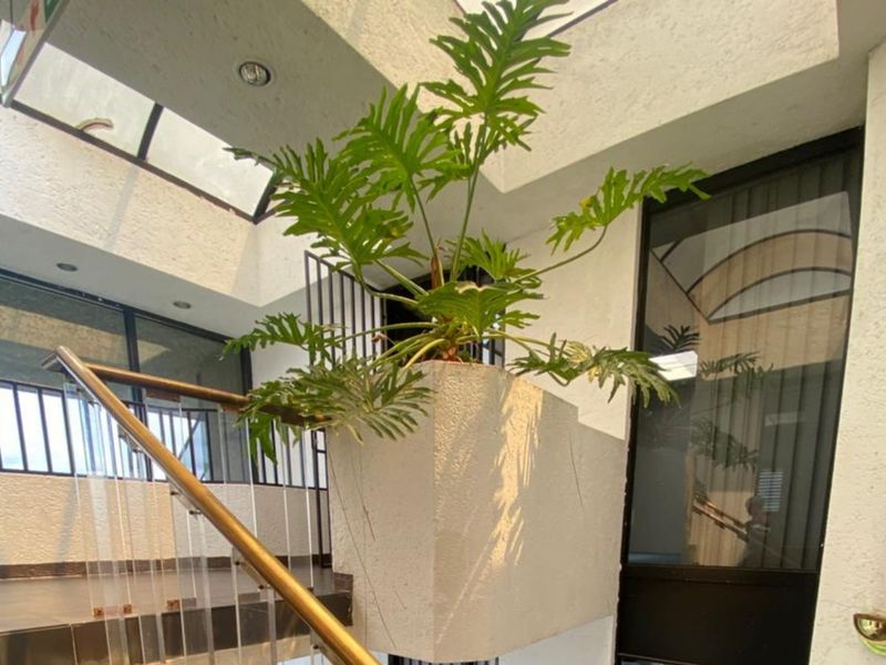 Office For Sale in Bedfordview Central - Photo 9