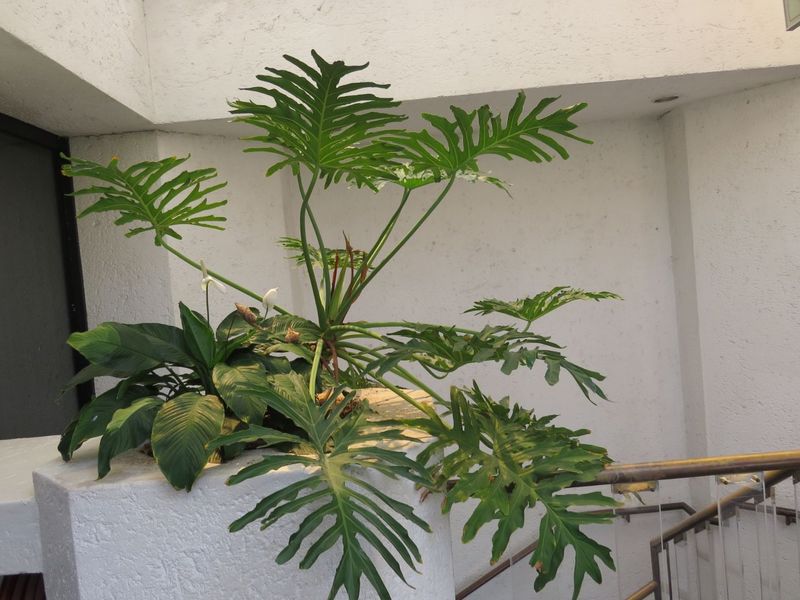 Office For Sale in Bedfordview Central - Photo 10