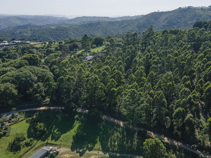 Vacant Land Residential For Sale in Drummond - Photo 10