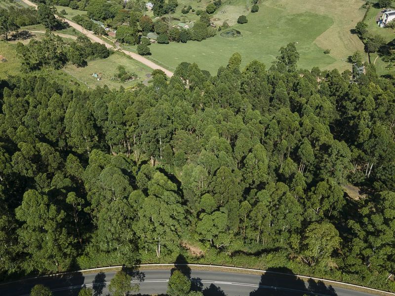 Vacant Land Residential For Sale in Drummond - Photo 2