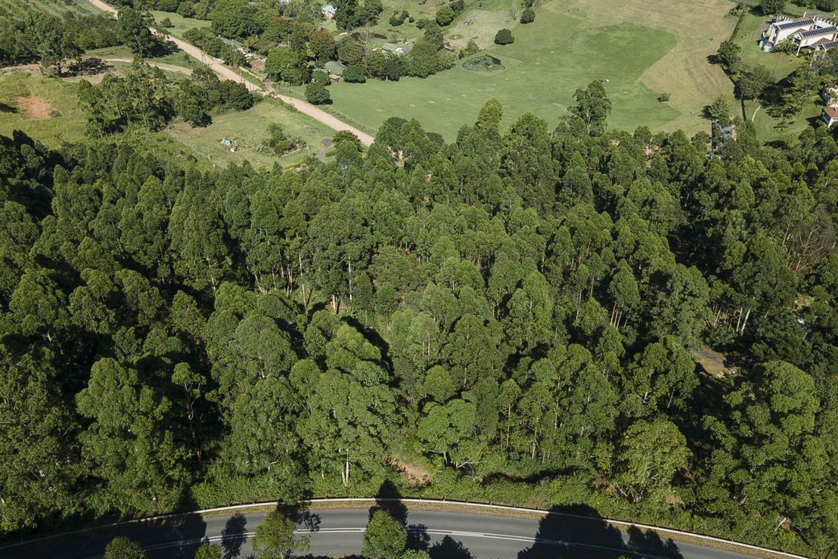 Vacant Land Residential For Sale in Drummond - Photo 2