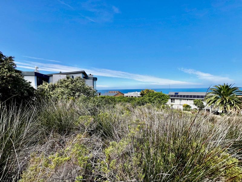 Vacant Land Residential For Sale in Reebok - Photo 3