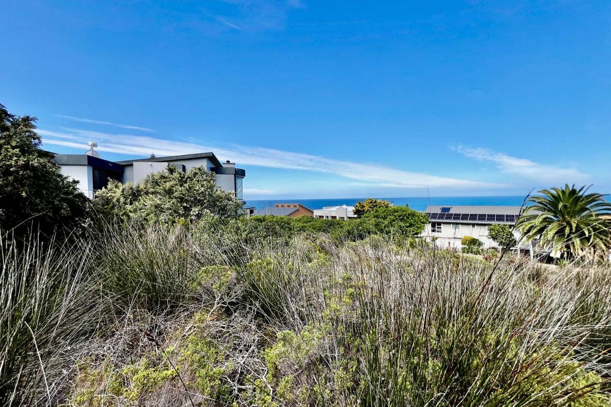 Vacant Land Residential For Sale in Reebok - Photo 3