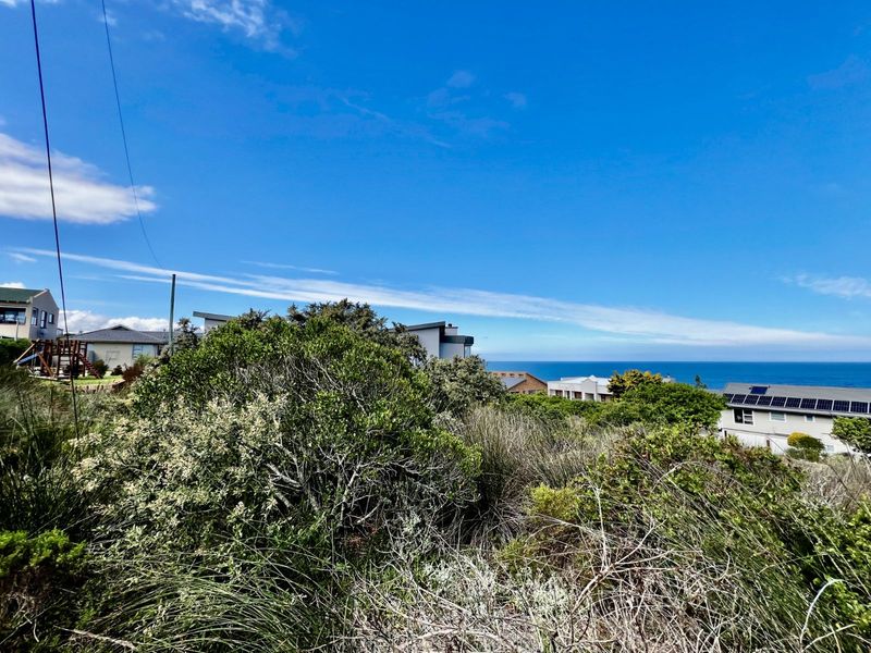 Vacant Land Residential For Sale in Reebok - Photo 4