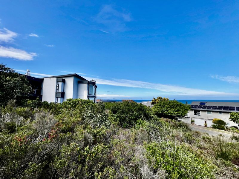 Vacant Land Residential For Sale in Reebok - Photo 2