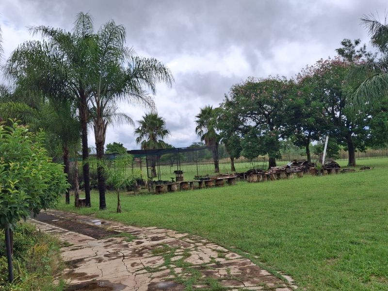 House For Sale in Theresapark - Photo 3