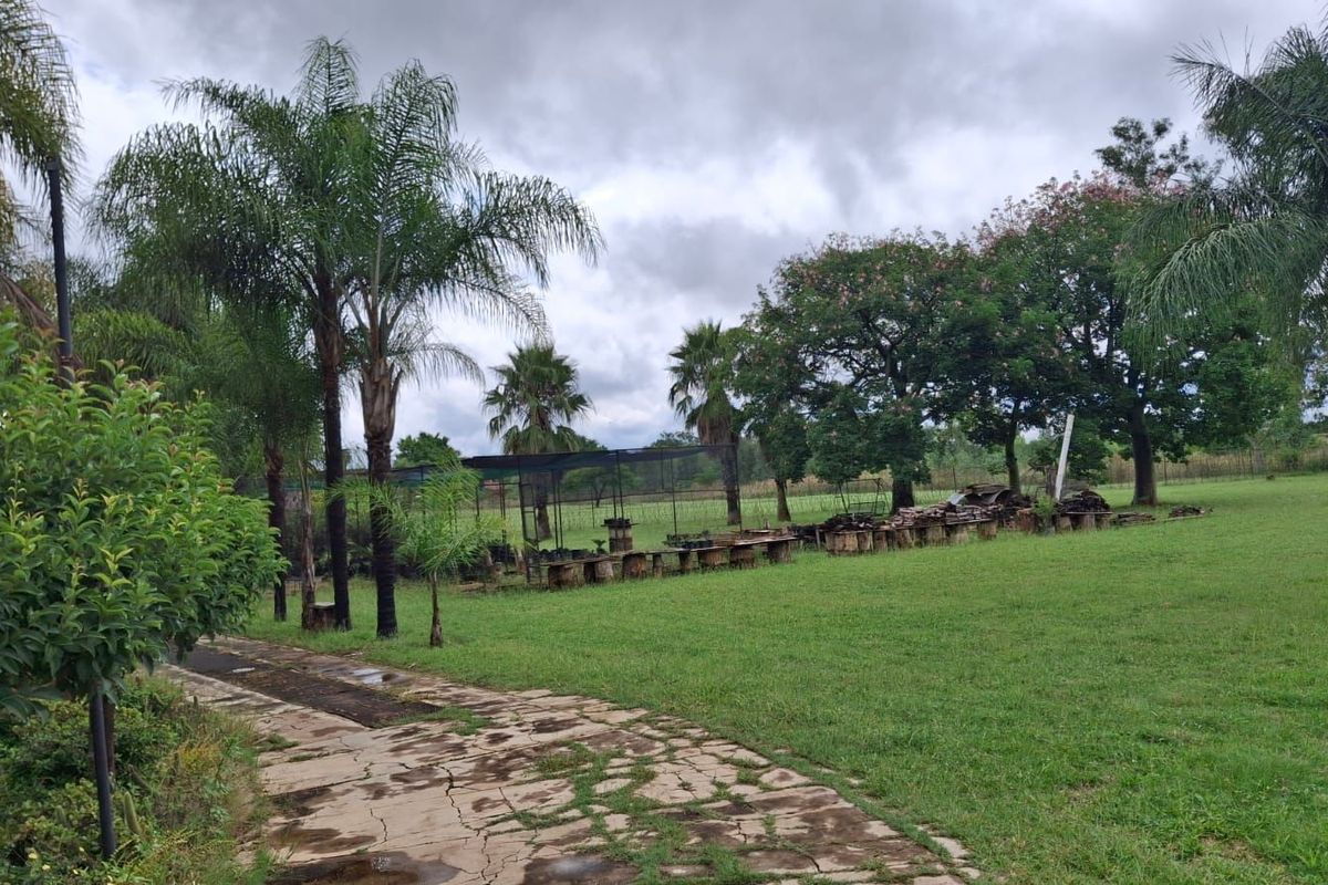 House For Sale in Theresapark - Photo 3