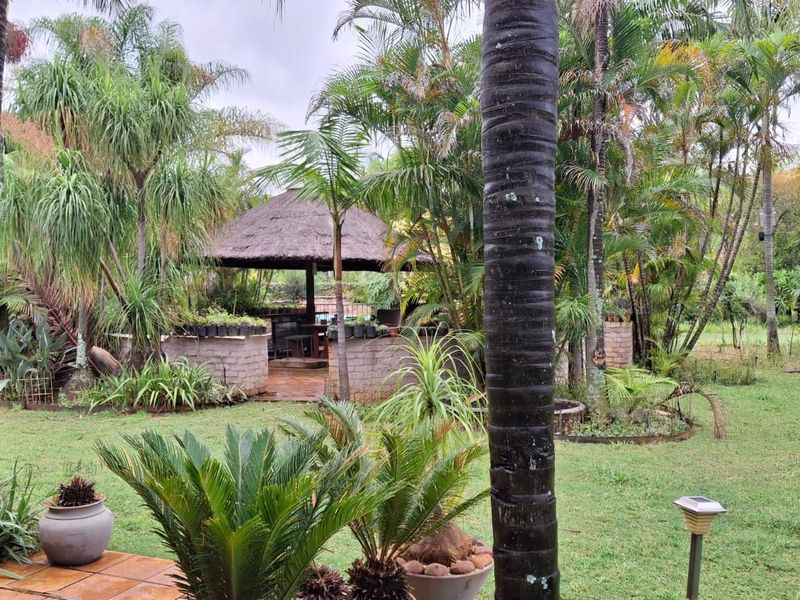 House For Sale in Theresapark - Photo 5