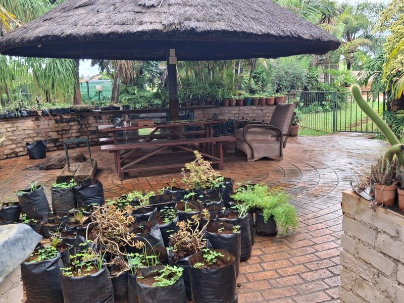 House For Sale in Theresapark - Photo 4