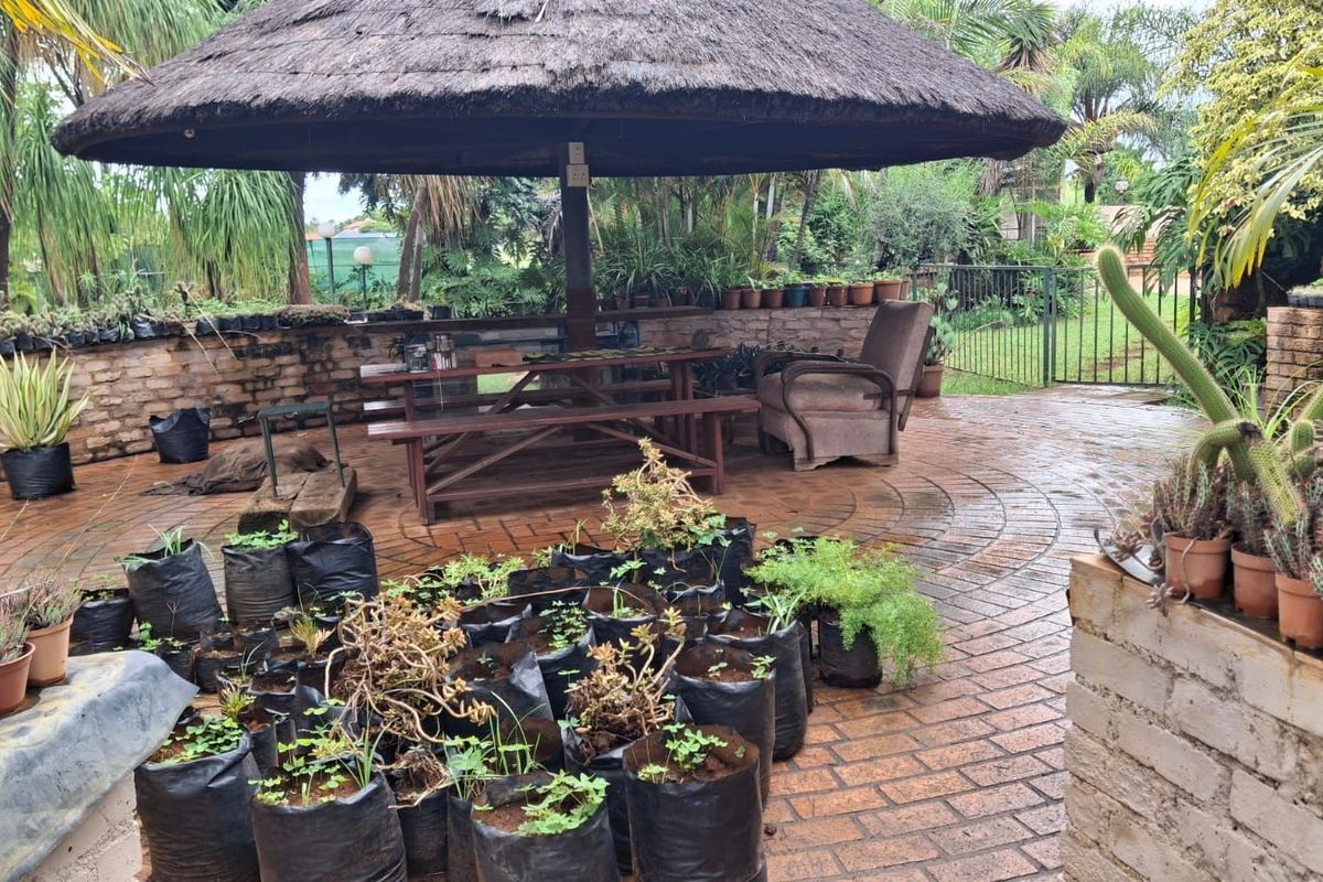 House For Sale in Theresapark - Photo 4