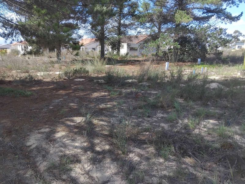 House For Sale in Albertinia Central - Photo 2