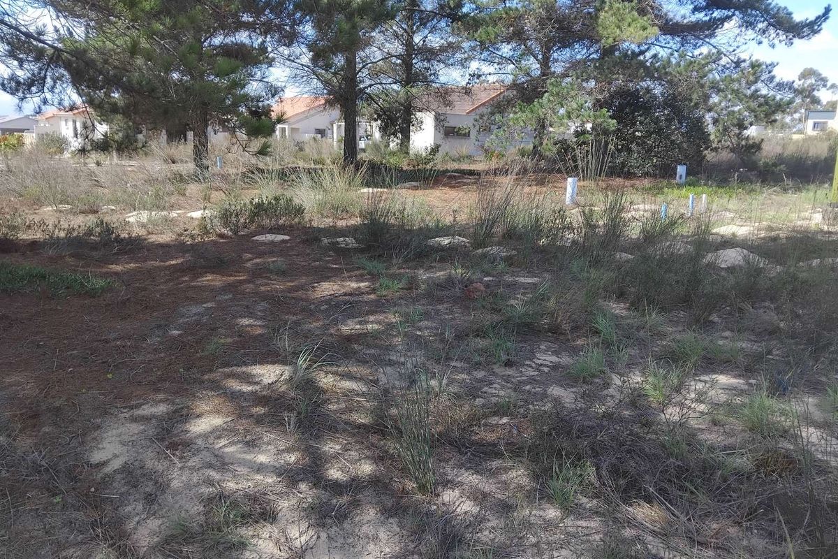 House For Sale in Albertinia Central - Photo 2