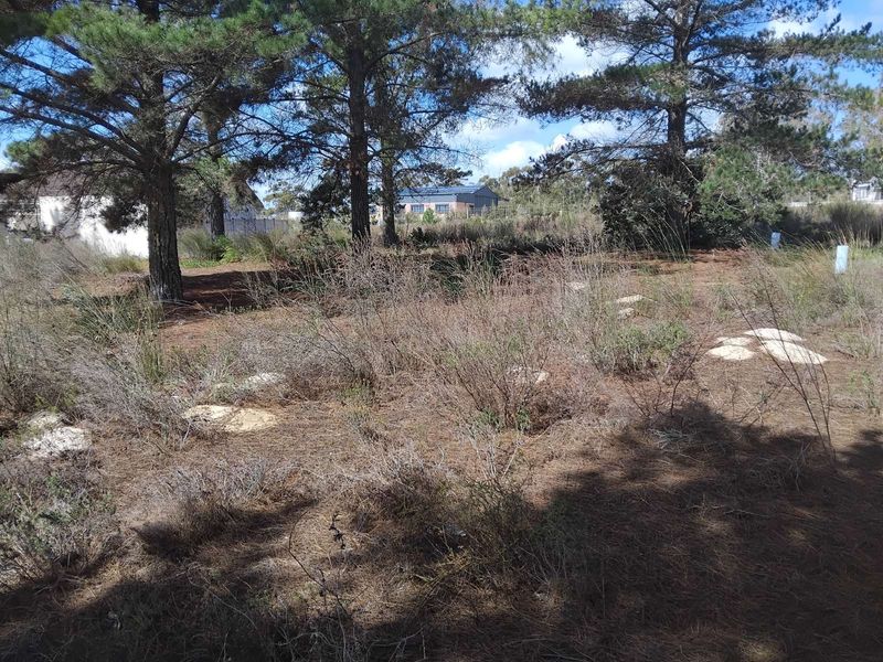 House For Sale in Albertinia Central - Photo 4