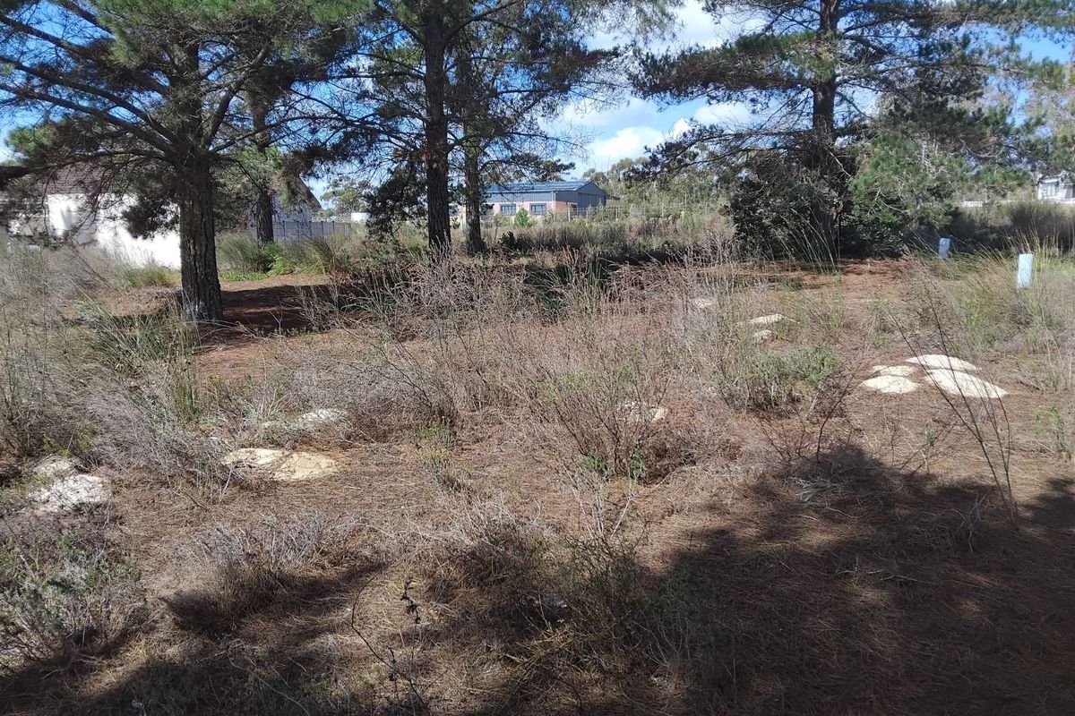 House For Sale in Albertinia Central - Photo 4