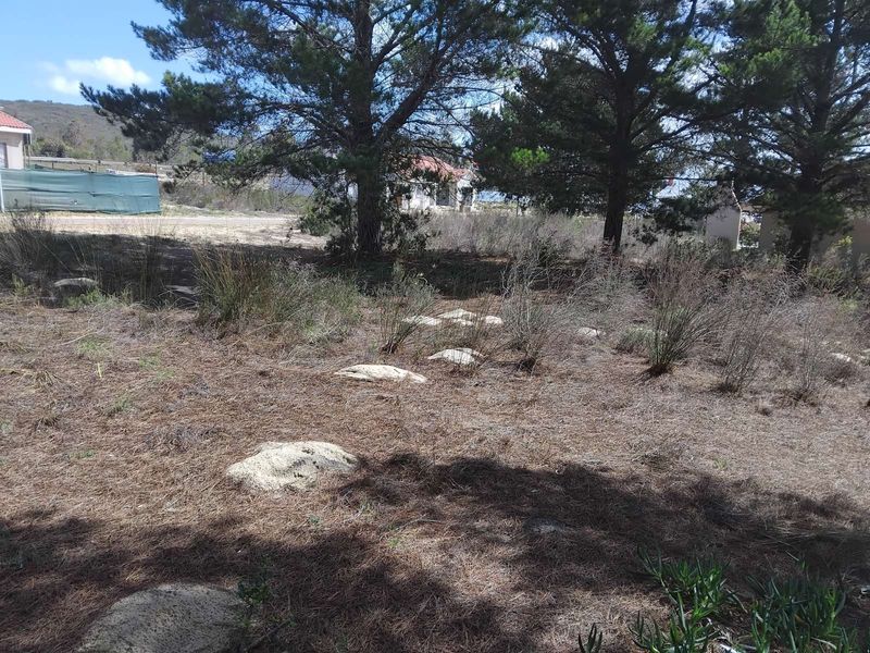 House For Sale in Albertinia Central - Photo 3