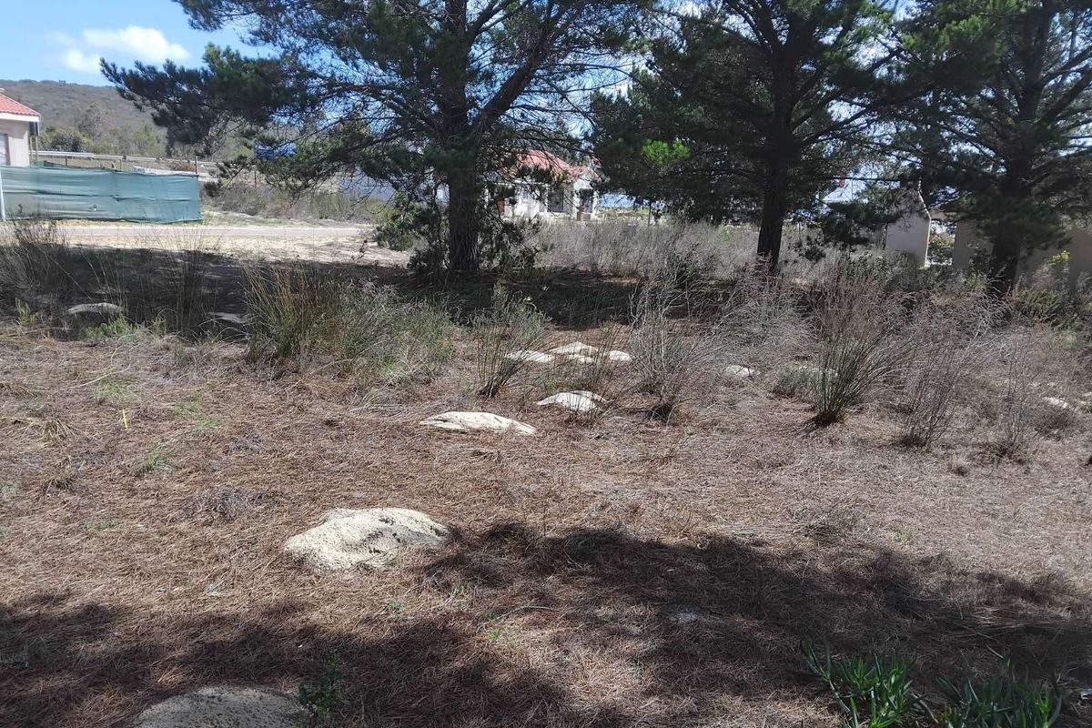 House For Sale in Albertinia Central - Photo 3