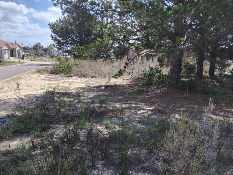 House For Sale in Albertinia Central - Photo 6