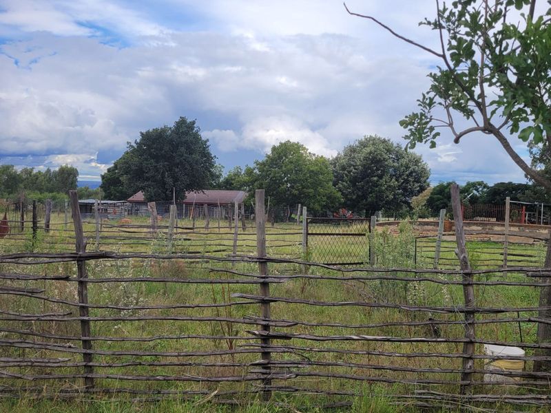 Farm For Sale in Kranspoort - Photo 4