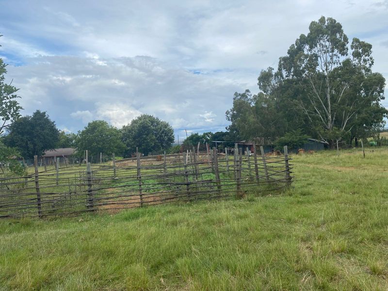 Farm For Sale in Kranspoort - Photo 6