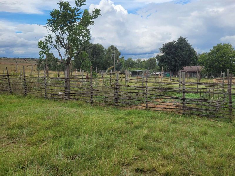 Farm For Sale in Kranspoort - Photo 3