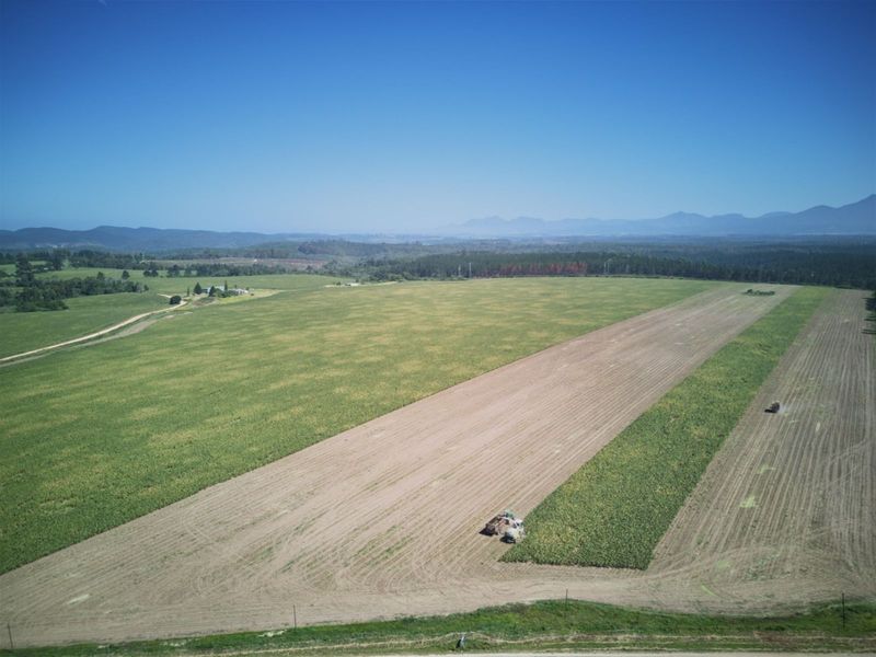 Farm For Sale in Knysna Rural - Photo 6