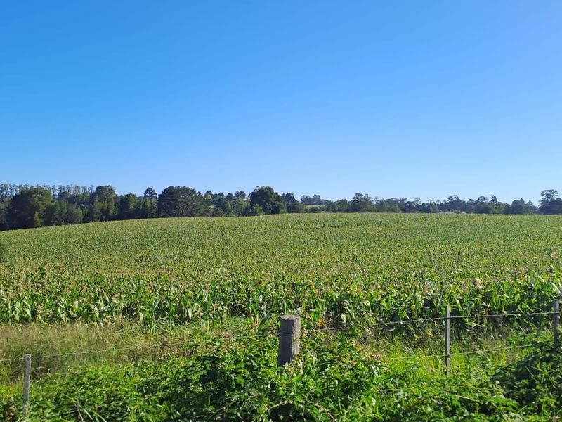 Farm For Sale in Knysna Rural - Photo 8