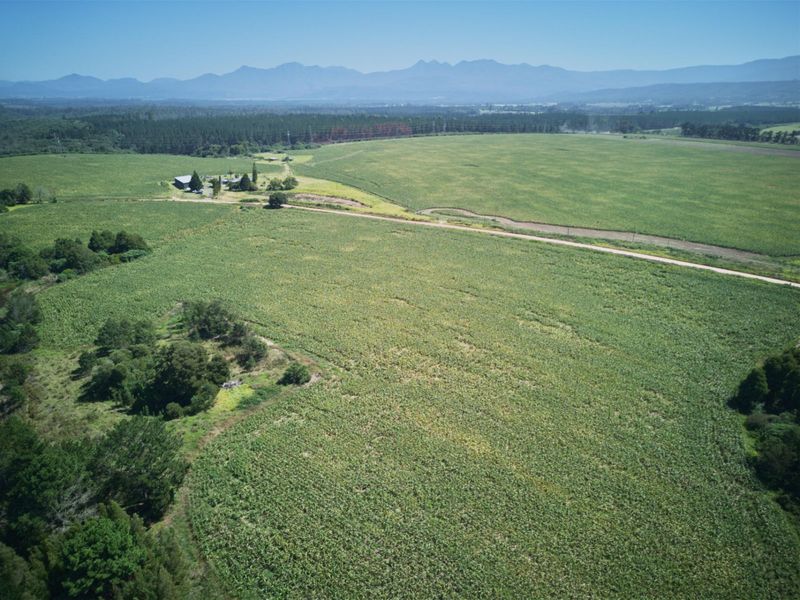 Farm For Sale in Knysna Rural - Photo 7