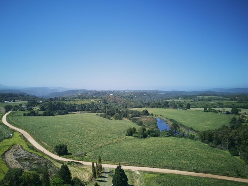 Farm For Sale in Knysna Rural - Photo 3