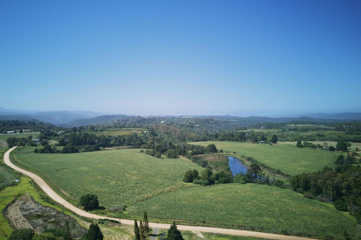 Farm For Sale in Knysna Rural - Photo 3