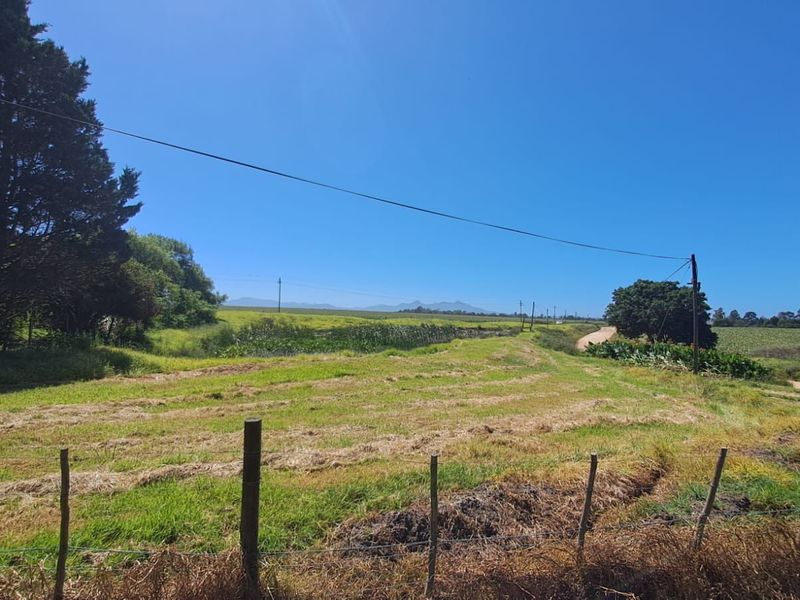 Farm For Sale in Knysna Rural - Photo 10