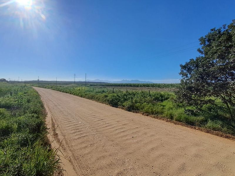 Farm For Sale in Knysna Rural - Photo 9