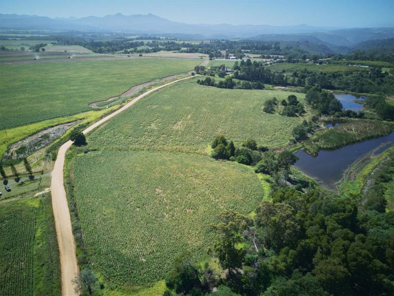 Farm For Sale in Knysna Rural - Photo 4