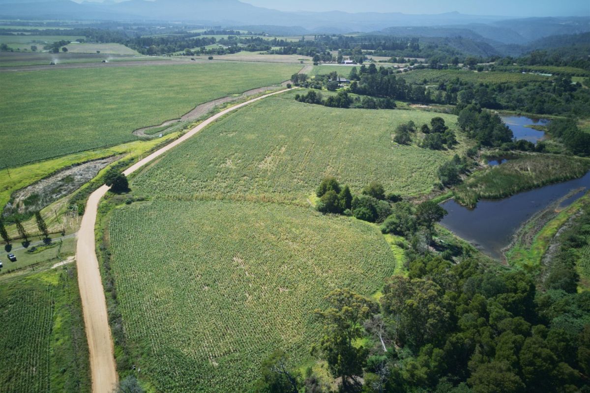 Farm For Sale in Knysna Rural - Photo 4