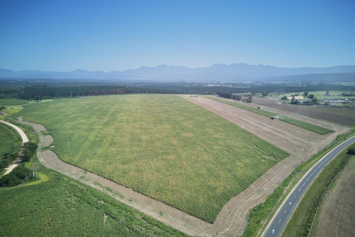 Farm For Sale in Knysna Rural - Photo 5