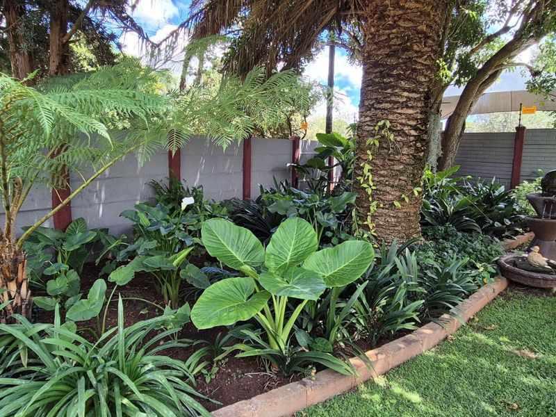 House For Sale in Lydenburg Central - Photo 3