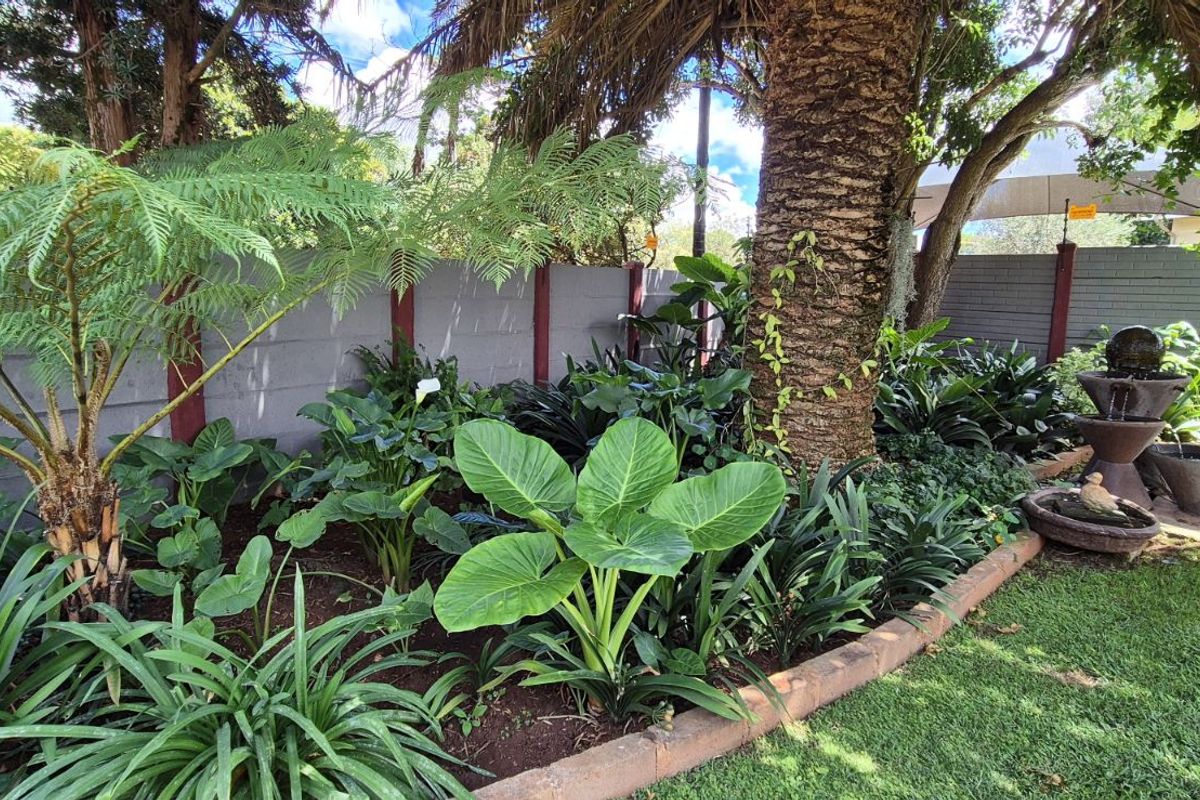 House For Sale in Lydenburg Central - Photo 3