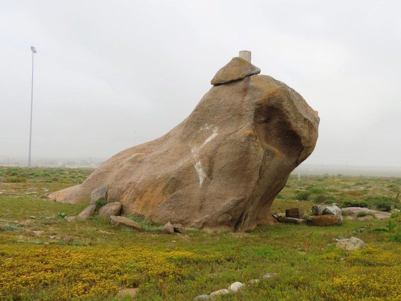 Vacant Land Residential For Sale in Hondeklip Bay Central - Photo 6