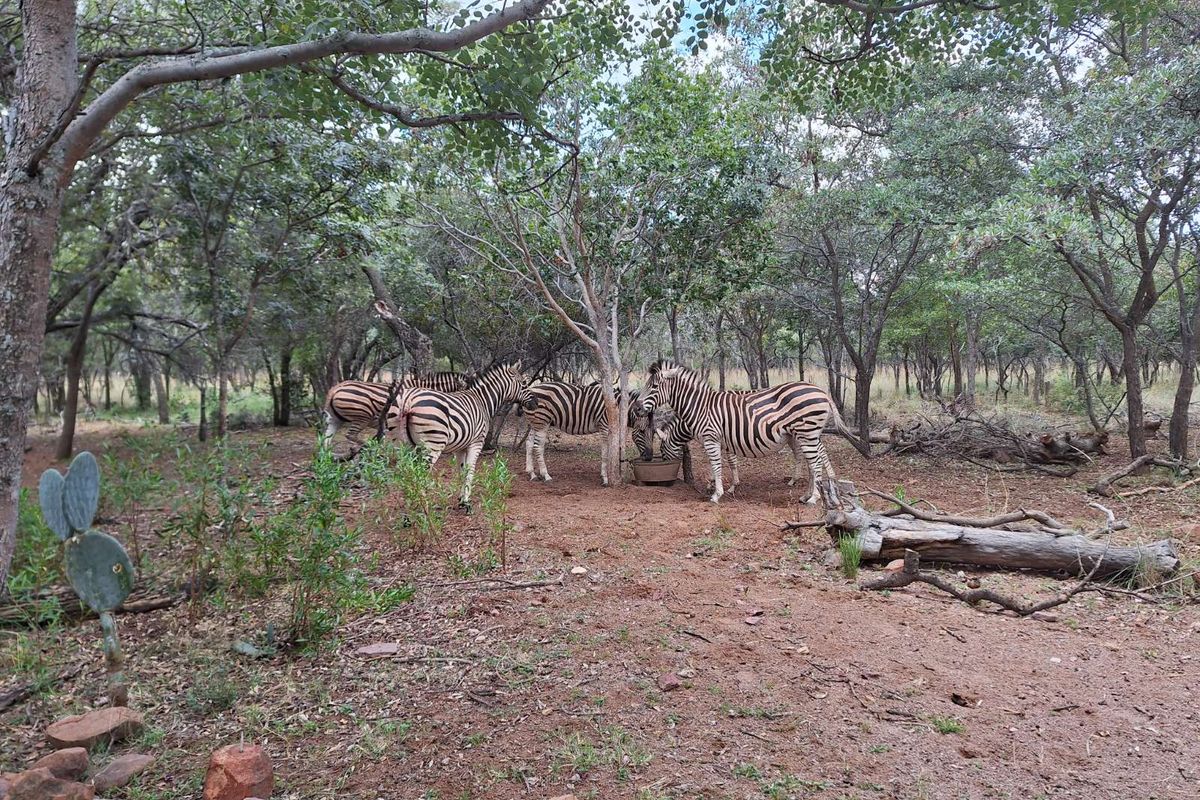 Vacant Land Residential For Sale in Koro Creek Golf Estate - Photo 2