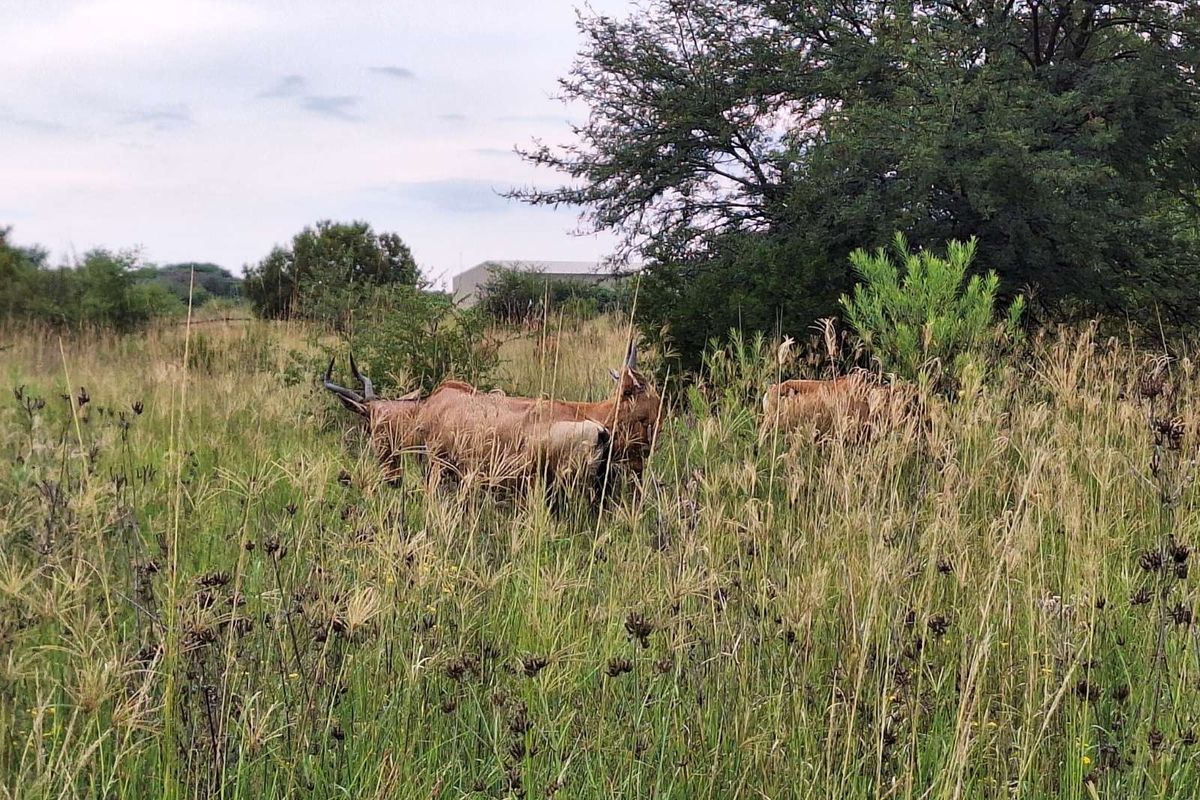 Vacant Land Residential For Sale in Koro Creek Golf Estate - Photo 5