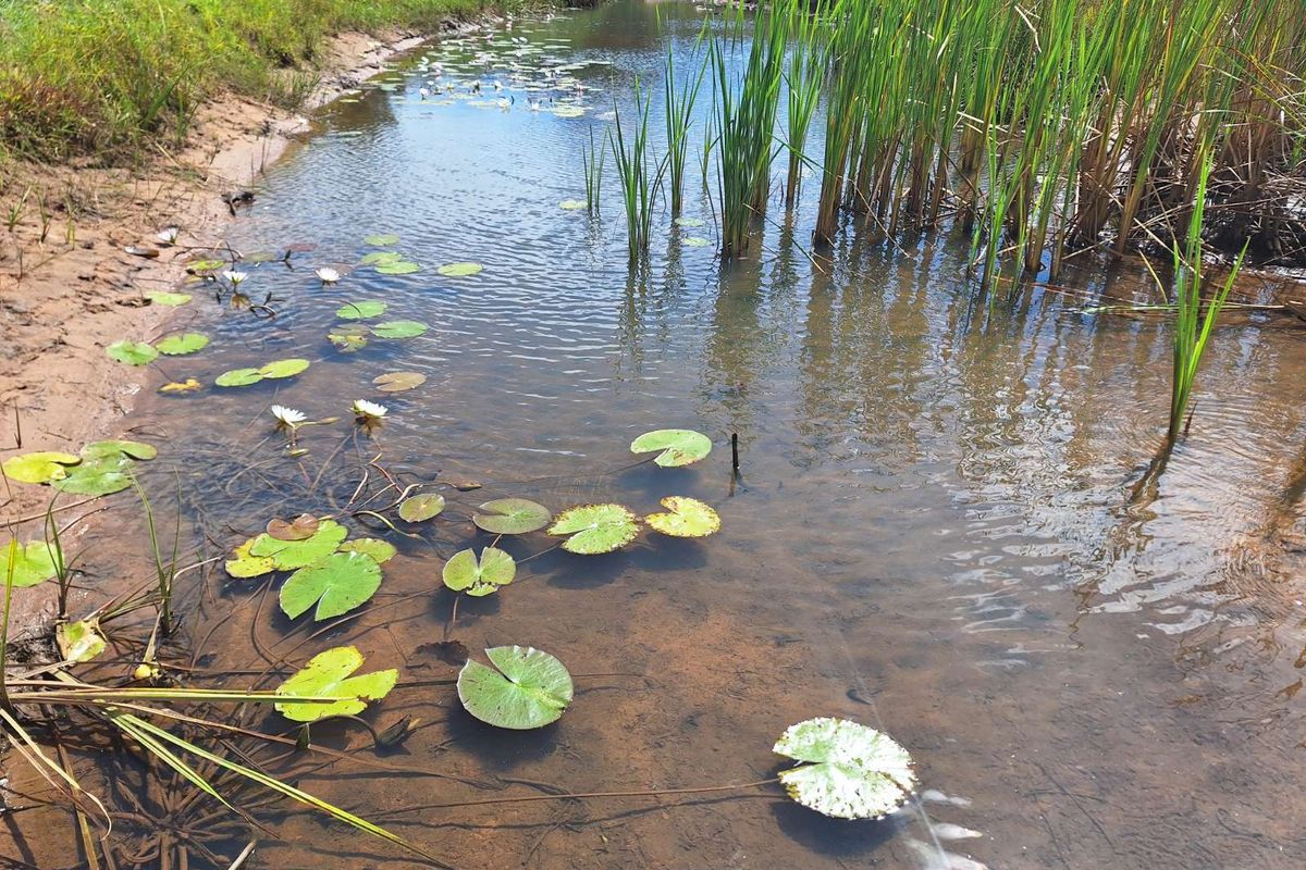 Vacant Land Residential For Sale in Koro Creek Golf Estate - Photo 3