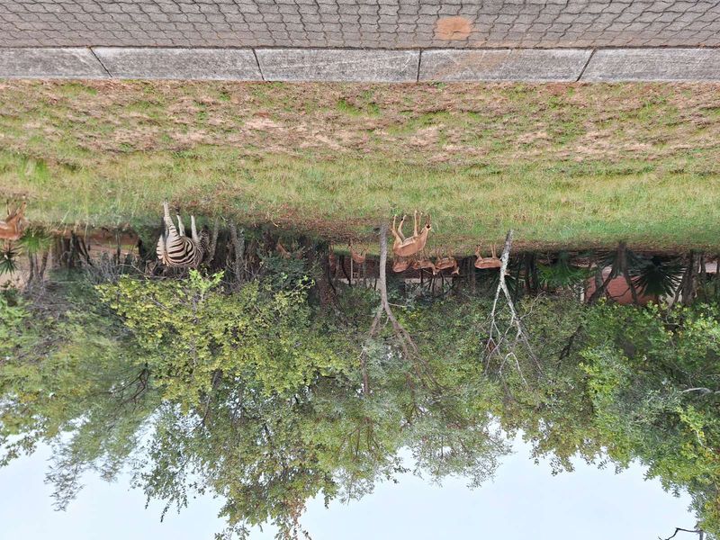 Vacant Land Residential For Sale in Koro Creek Golf Estate - Photo 6