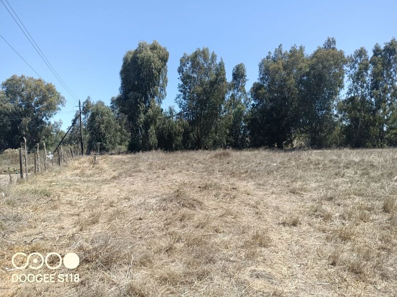 Vacant Land Residential For Sale in Kalbaskraal - Photo 6