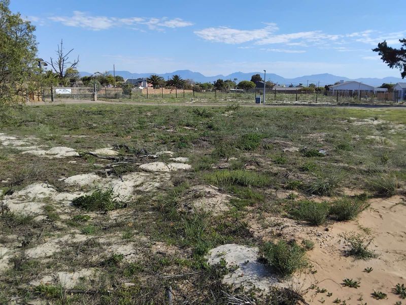 Vacant Land Residential For Sale in Albertinia Central - Photo 4