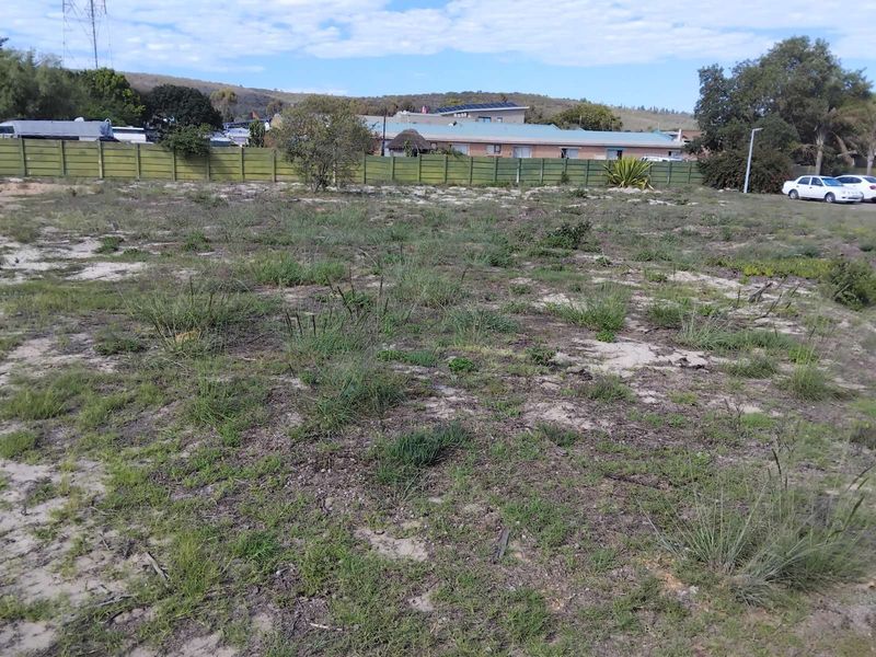 Vacant Land Residential For Sale in Albertinia Central - Photo 3